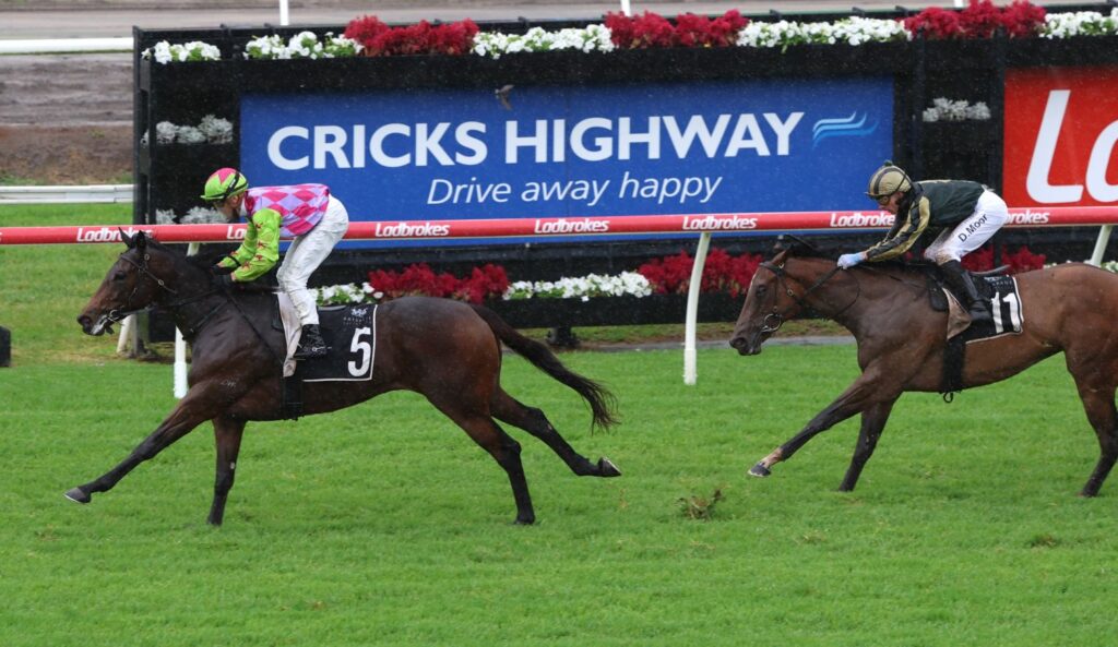 boomelli 2 | Just Horse Racing Two jockeys race on grassy track, horse #5 ahead of horse #11 near a blue advertisement board reading 'Cricks Highway'.