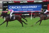 Two jockeys race on grassy track, horse #5 ahead of horse #11 near a blue advertisement board reading 'Cricks Highway'.