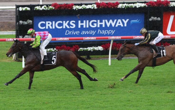 Two jockeys race on grassy track, horse #5 ahead of horse #11 near a blue advertisement board reading 'Cricks Highway'.