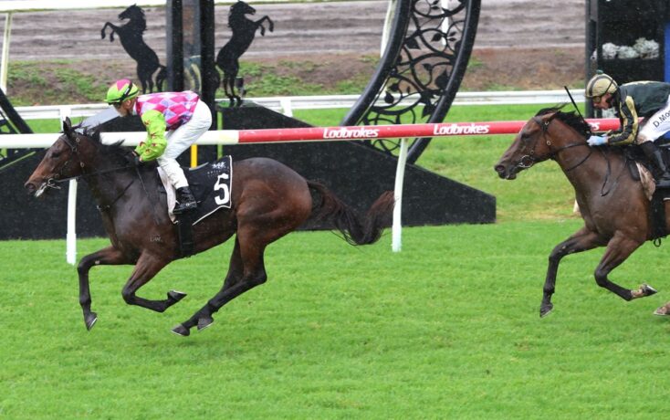 Jockey in pink-green silks rides a dark bay horse leading on a grassy racecourse with a white-and-red railing behind.