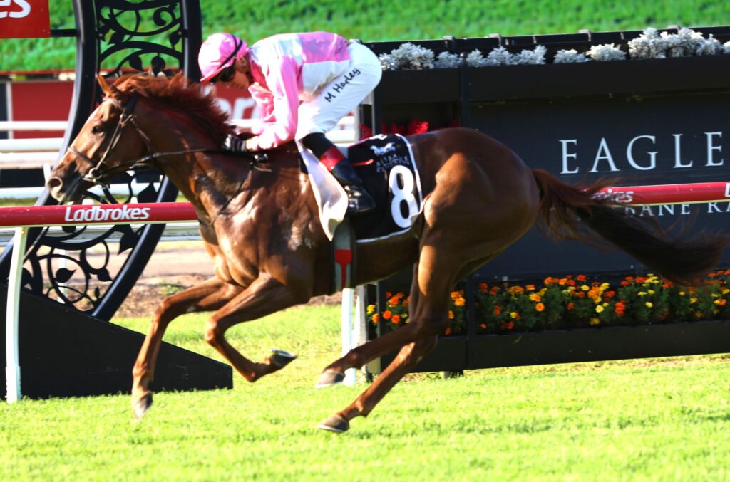 Horse and jockey racing at high speed, pink-and-white outfit, number 8, on a grassy track with sponsor barriers in the background