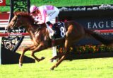 Horse and jockey racing at high speed, pink-and-white outfit, number 8, on a grassy track with sponsor barriers in the background