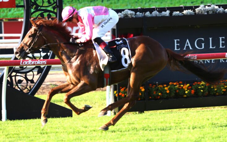 Horse and jockey racing at high speed, pink-and-white outfit, number 8, on a grassy track with sponsor barriers in the background