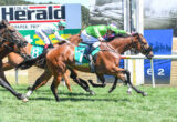 Horse race in progress with jockeys in green and white silks riding brown horses on a grassy track; leading horses near a barrier and advertising boards in the background.