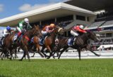 Multiple racehorses and jockeys sprint toward the finish line on a sunny day, colorful silks flashing.