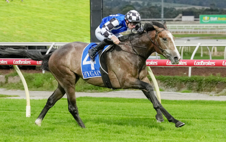 Jockey in blue and white silks on a brown horse racing along the inner rail with a Ladbrokes banner nearby.