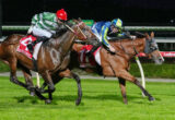 Two jockeys ride racing horses at full stretch on a night track, pursuing victory amid green turf and advertising banners.