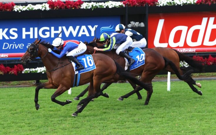 Three jockeys push their brown horses toward the finish line on a green turf track, with blue advertising boards and red flowers in the background.