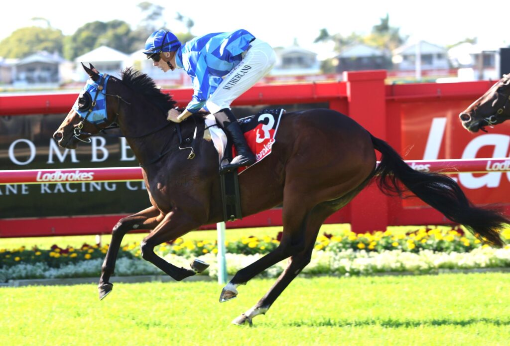smexy 3 | Just Horse Racing