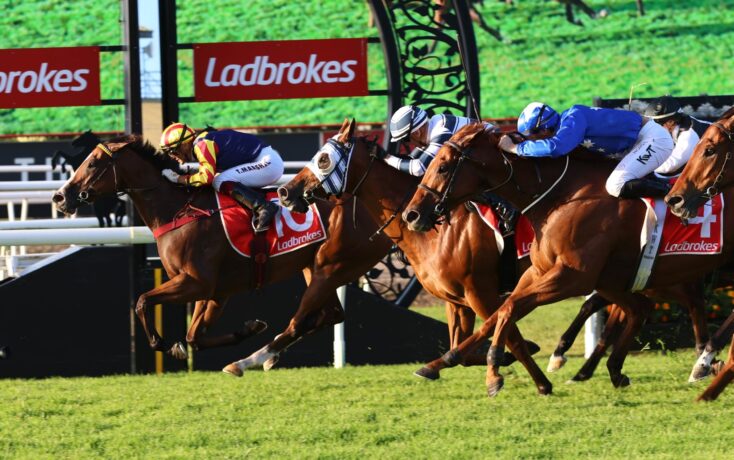 Horse race in progress with jockeys leaning forward; red Ladbrokes banners in the background.