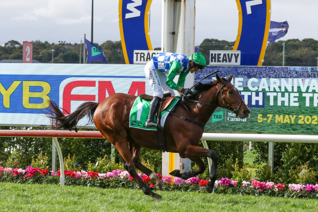 Stern Idol | Just Horse Racing Jockey in green and blue silks riding a brown horse at a race track beside advertising boards and a flower bed in the foreground.