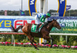 Jockey in green and blue silks riding a brown horse at a race track beside advertising boards and a flower bed in the foreground.