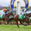 0V9ANDY WIN0365 | Just Horse Racing Two jockeys ride fast horses in a race on a grassy track, colorful silks, with a large arc sign and sponsor boards in the background.
