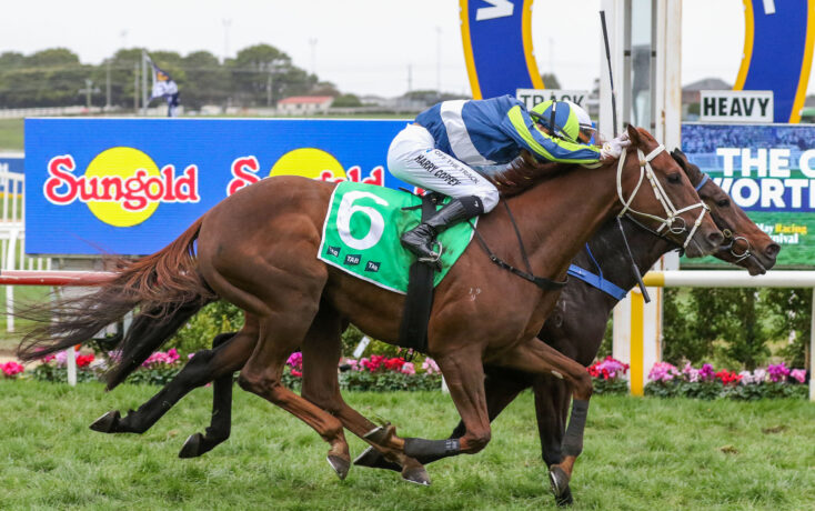 Two jockeys ride racehorses neck-and-neck on a grass track, blue-and-white silks and a green saddlecloth visible near the finish line.