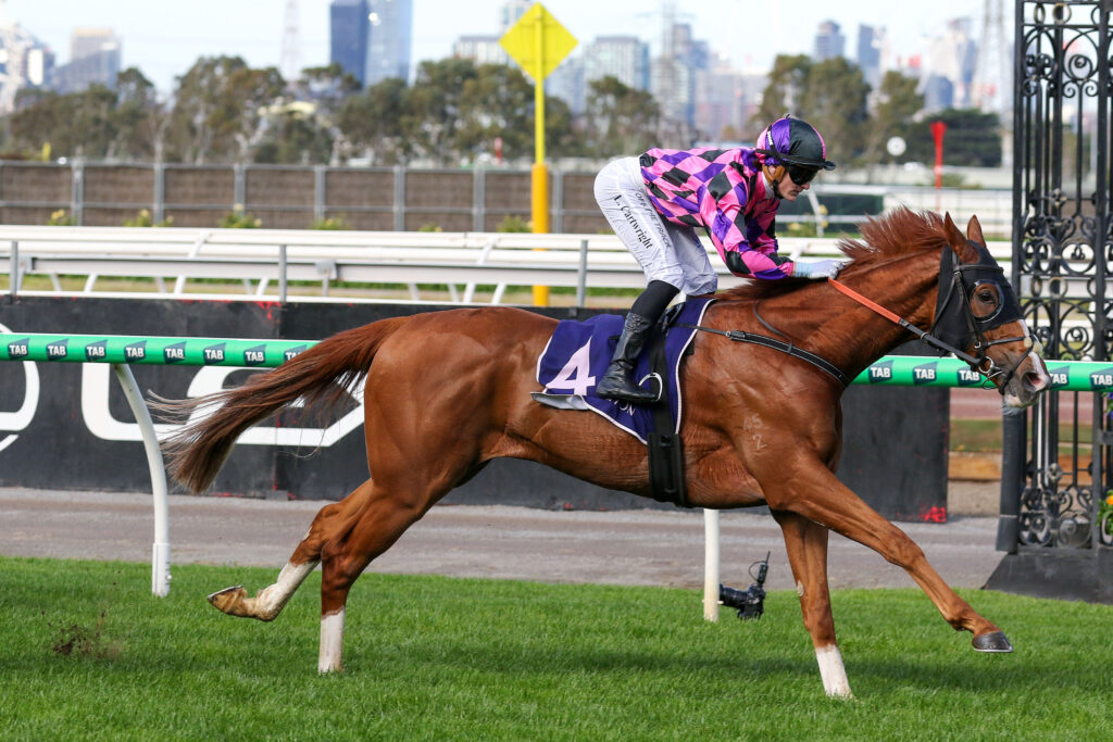Jockey in pink and purple silks on a chestnut horse racing past a rail with a city skyline in the background.