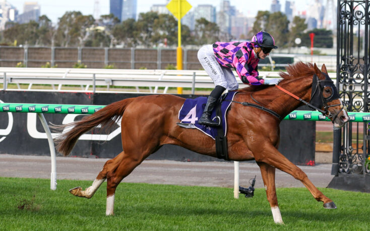 Jockey in pink and purple silks on a chestnut horse racing past a rail with a city skyline in the background.
