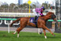 Jockey in pink and purple silks on a chestnut horse racing past a rail with a city skyline in the background.