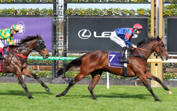 Two jockeys race side by side on galloping horses during a turf horse race, with colorful flower barriers in the background.