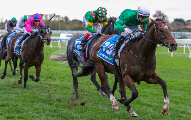 Group of thoroughbred racehorses galloping on a grassy track with jockeys in colorful silks ahead of the finish line.