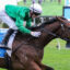Jockey in green silks and white helmet rides a brown horse with a blue saddlecloth labeled 13 during a race at the track.