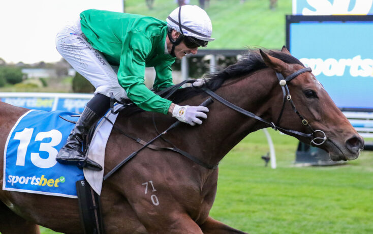 Jockey in green silks and white helmet rides a brown horse with a blue saddlecloth labeled 13 during a race at the track.