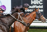 Two jockeys on racing horses lean forward in a close finish, with purple and black silks visible against a track backdrop.