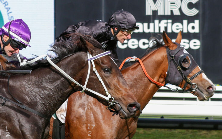 Two jockeys on racing horses lean forward in a close finish, with purple and black silks visible against a track backdrop.