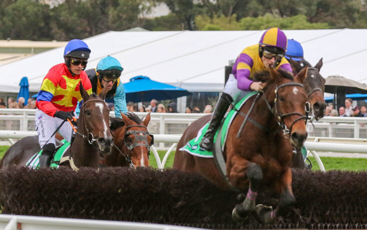 Jockeys in bright silks ride galloping horses as they jump a hurdle during a crowded race.