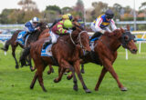 Jockeys lean forward on horses during a grass-track horse race, colorful silks in motion on a crowded track