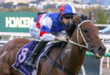 Jockey in red, white, and blue silks rides a brown horse during a race.