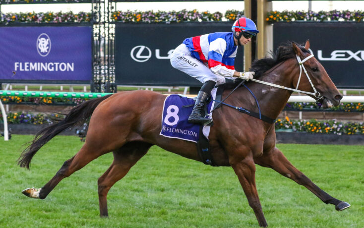 Jockey in red, white, and blue silks rides a galloping brown horse during a race at Flemington, with the number 8 saddlecloth visible.