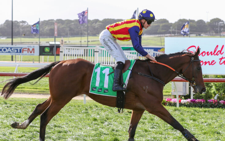 Jockey in red-yellow-blue silks riding a brown horse with a green number cloth on a sunny racetrack.