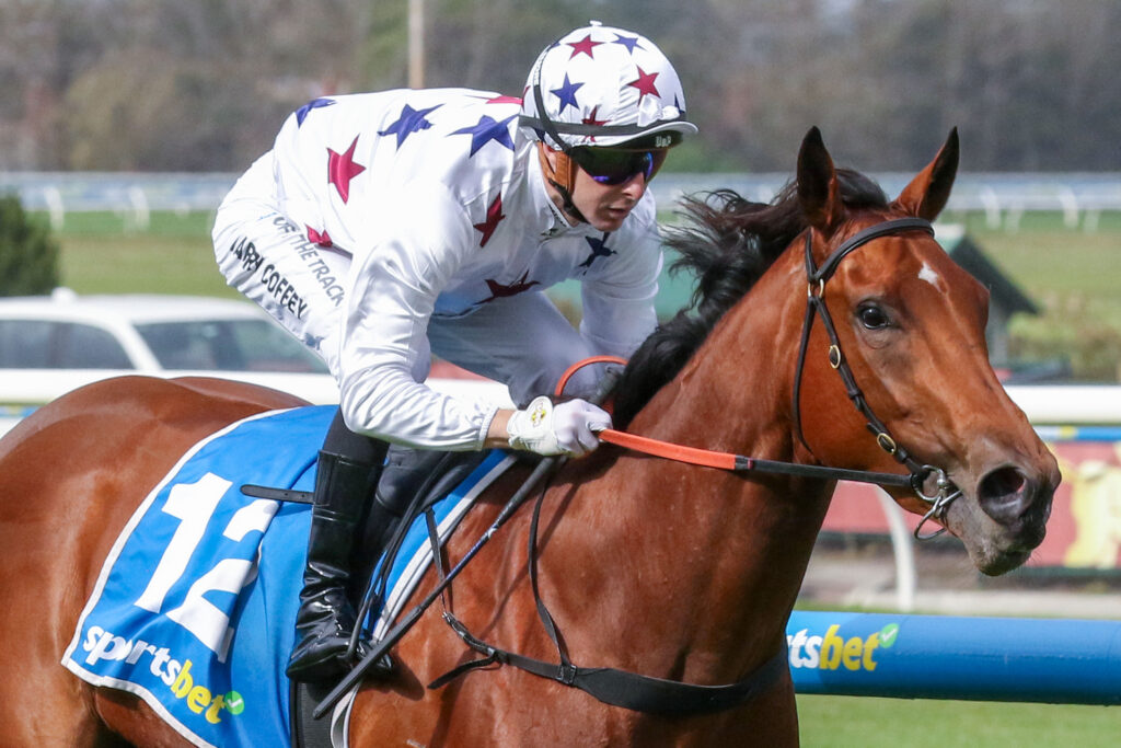 Jockey in star-patterned white silks and helmet rides a chestnut horse over a hurdle on a racecourse.