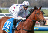 Jockey in star-patterned white silks and helmet rides a chestnut horse over a hurdle on a racecourse.
