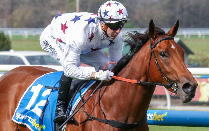 Jockey in star-patterned white silks and helmet rides a chestnut horse over a hurdle on a racecourse.