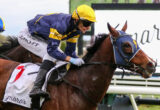 Jockey in yellow helmet and blue-and-yellow silks rides a brown horse over a hurdle during a race, with a white rail in the background.