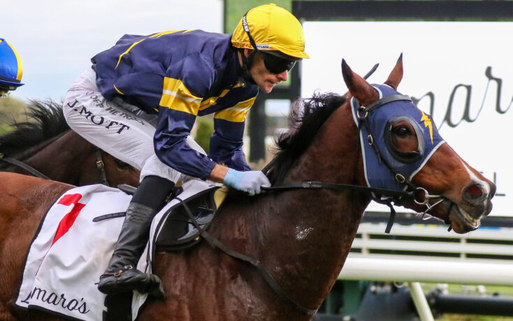 Jockey in yellow helmet and blue-and-yellow silks rides a brown horse over a hurdle during a race, with a white rail in the background.