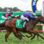 Jockeys and horses sprinting side by side on a grassy racetrack, leaning forward in a close race near the finish line.