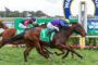 Jockeys and horses sprinting side by side on a grassy racetrack, leaning forward in a close race near the finish line.