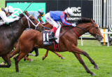 Horse race on a grassy track with jockeys in bright silks, horse in front wearing white helmet.