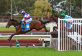 Jockey in blue, white, and red silks rides a brown horse as it clears a white fence in a race.