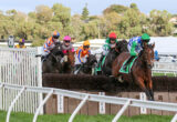 Jockeys and horses jump over a hurdle in a horse race, colorful silks visible against a backdrop of trees and blue sky.