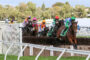 Jockeys and horses jump over a hurdle in a horse race, colorful silks visible against a backdrop of trees and blue sky.