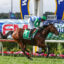 Jockey in green helmet and blue‑white checkered silks rides a brown horse toward the finish line on a race track with colorful banners behind.