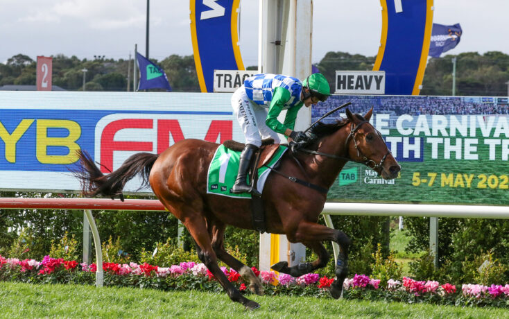 Jockey in green helmet and blue‑white checkered silks rides a brown horse toward the finish line on a race track with colorful banners behind.