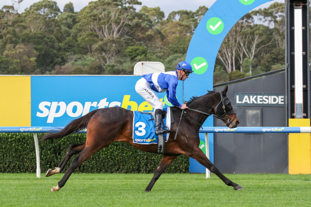 Jockey in blue silks on a brown horse clearing a hurdle during a flat-out horse race on green turf with sponsor signs in the background.