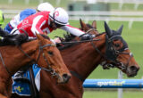 Two jockeys in a tight horse race, wearing red‑and‑white and blue silks, leaning forward on sprinting horses on a track edge.