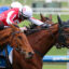 Two jockeys in a tight horse race, wearing red‑and‑white and blue silks, leaning forward on sprinting horses on a track edge.