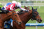 Two jockeys in a tight horse race, wearing red‑and‑white and blue silks, leaning forward on sprinting horses on a track edge.