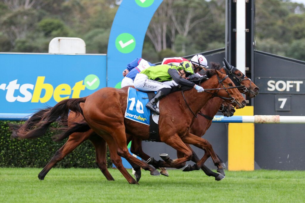 Jockeys riding competing racehorses neck-and-neck on a green turf track during a race, close to the finish line.